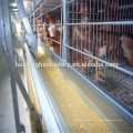 2015 nouvelles cages de type pour poulets de chair